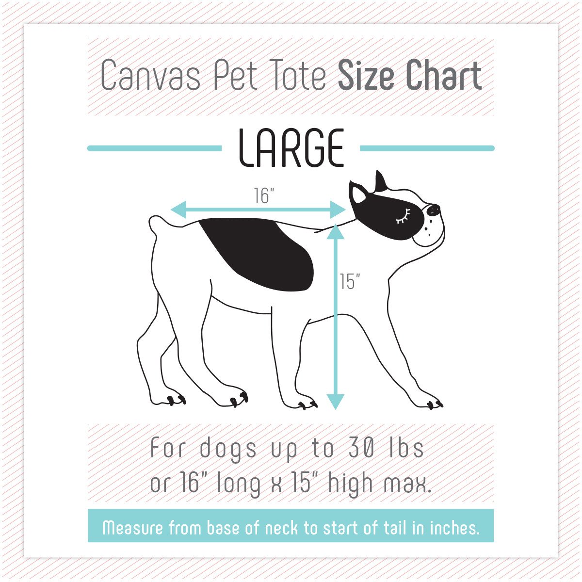 Canvas Pet Carrier