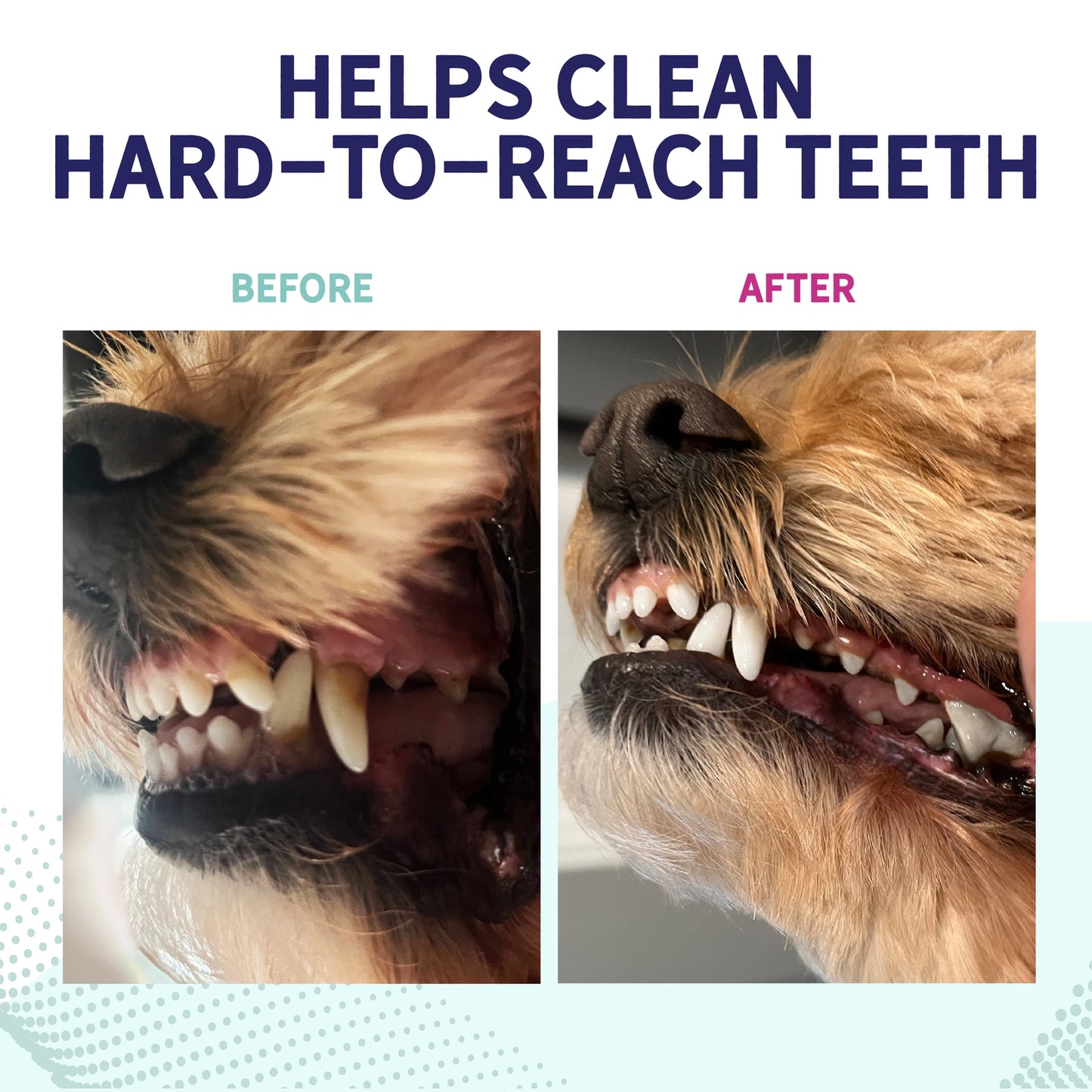 Fresh Breath Dental Bones
