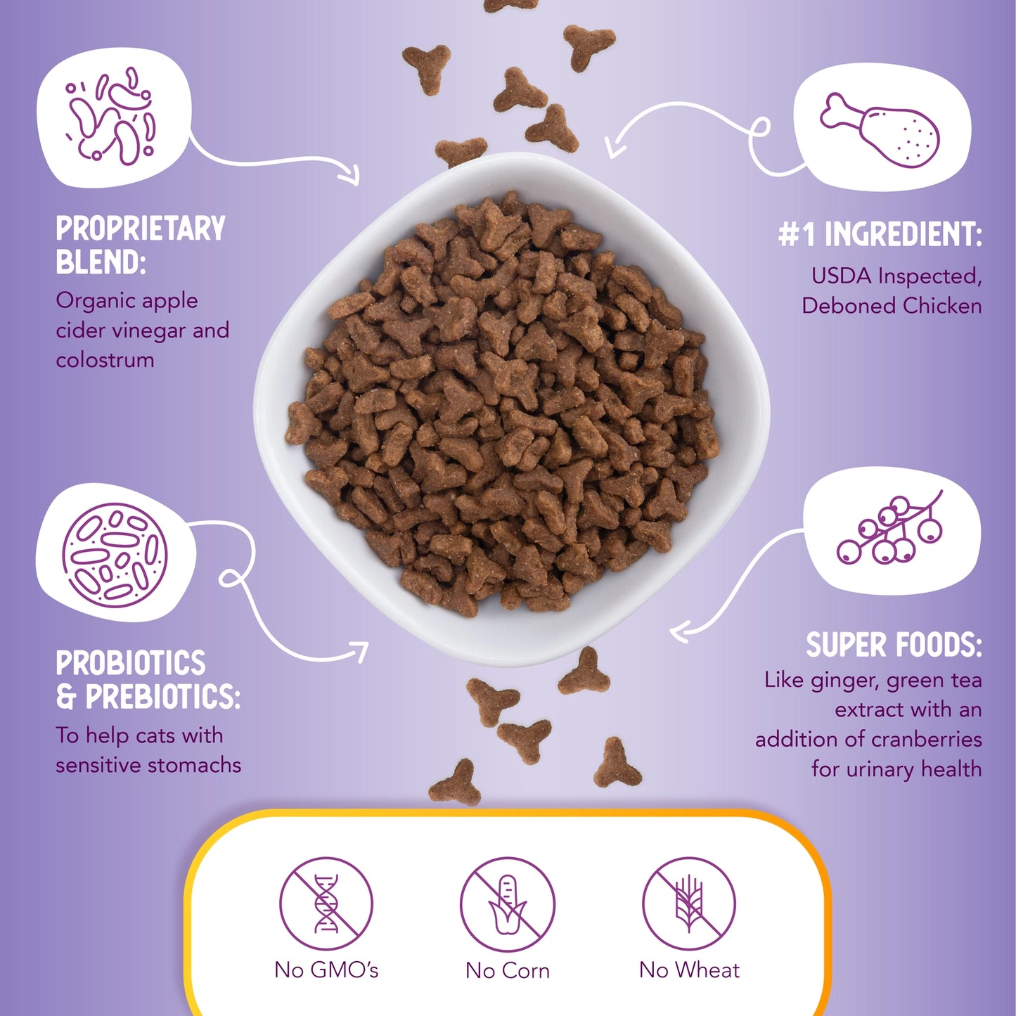 Dry Cat Food Chicken and Brown Rice
