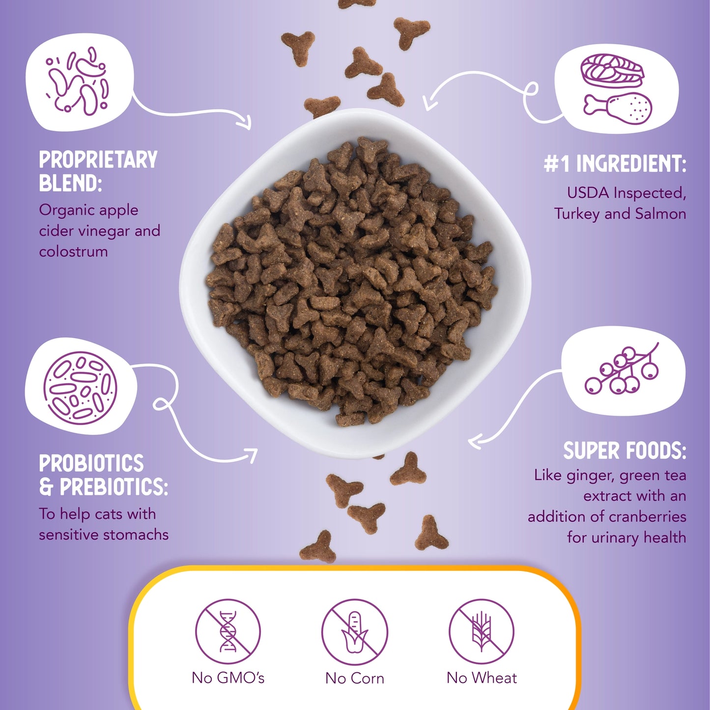 Dry Cat Food Grain Free Turkey and Salmon Recipe