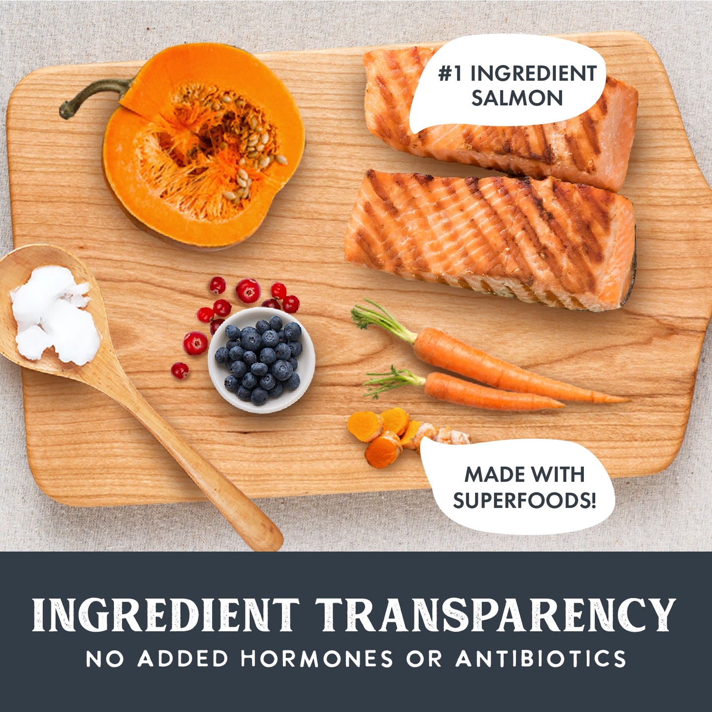 Dry Dog Food Holistic Gently Air Dried Salmon Recipe