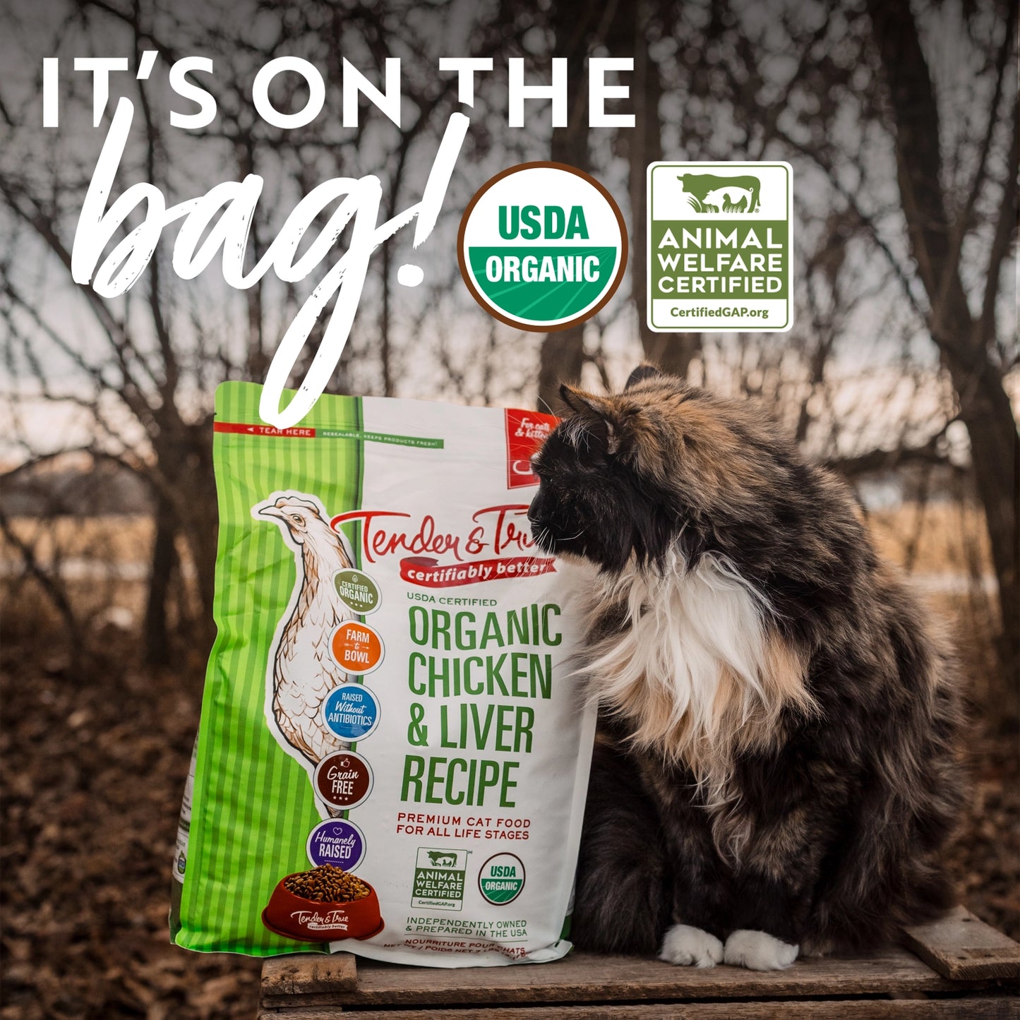Organic Dry Cat Food Chicken and Liver Recipe