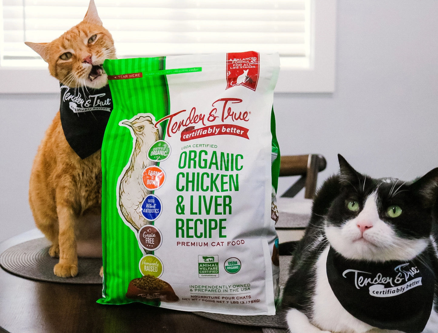 Organic Dry Cat Food Chicken and Liver Recipe