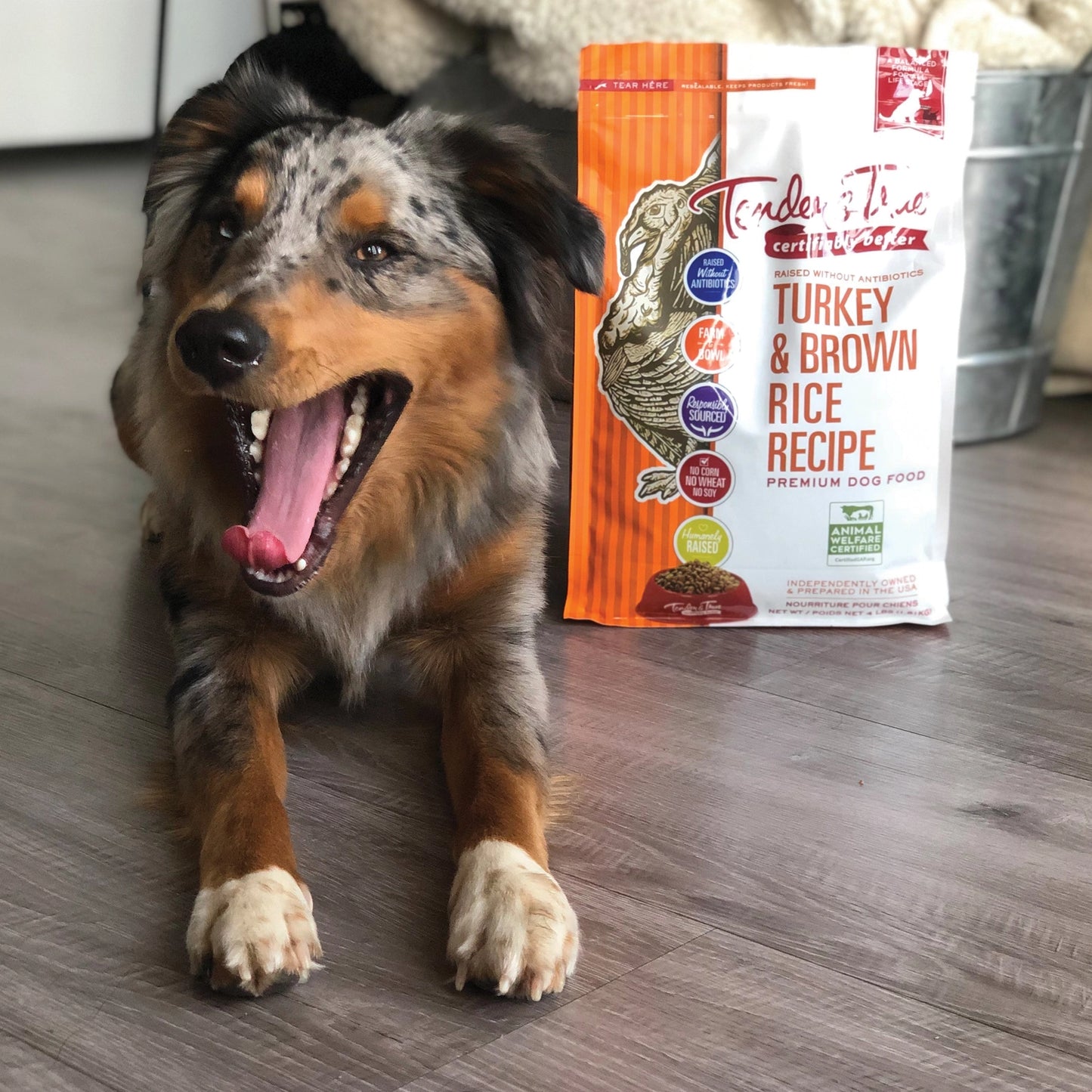 Dry Dog Food Turkey and Brown Rice Recipe