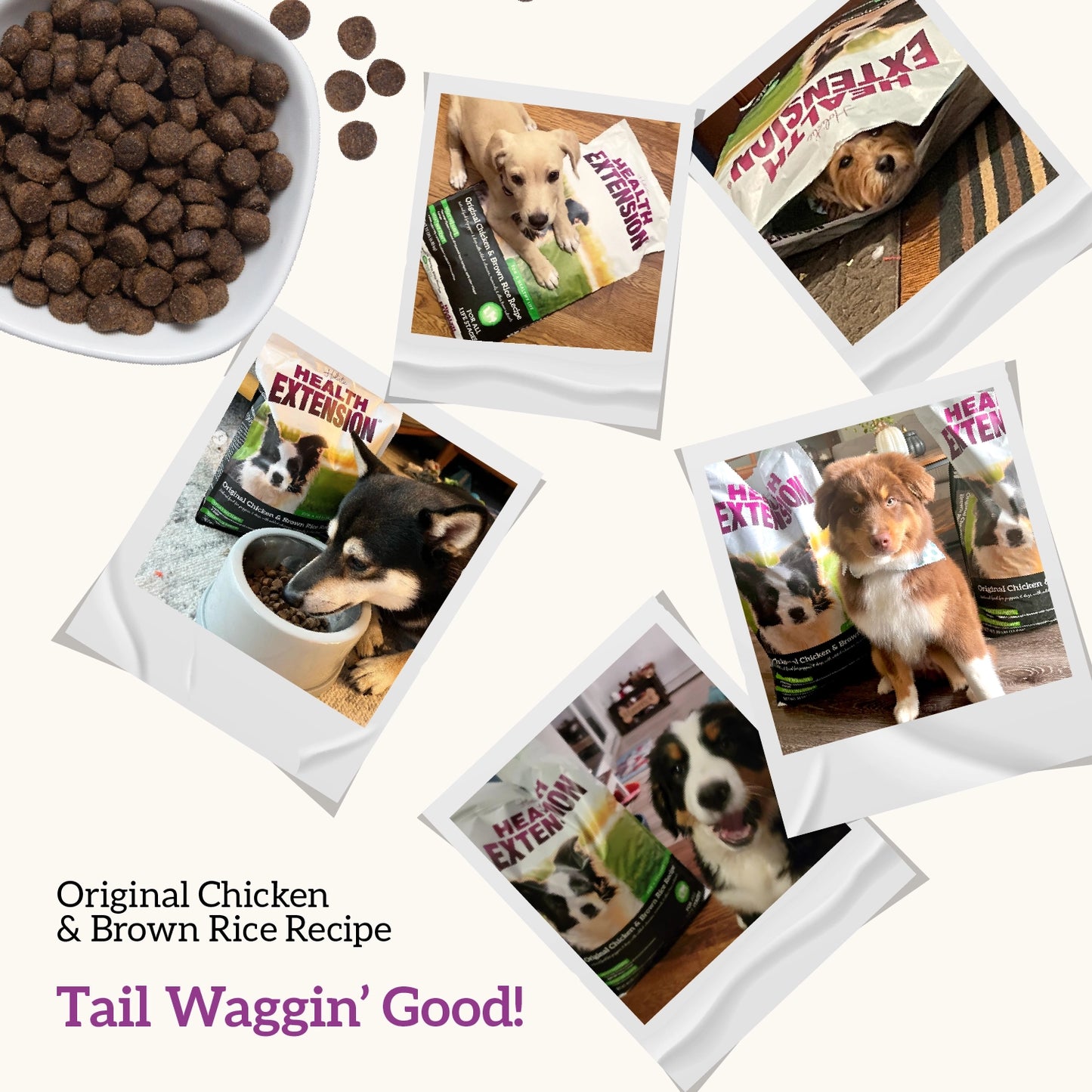 Dry Dog Food Chicken and Brown Rice Recipe