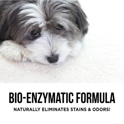 The Only Pet Stain and Odor Remover You Need