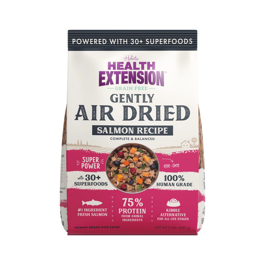 Dry Dog Food Holistic Gently Air Dried Salmon Recipe