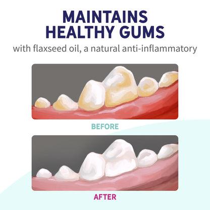 Fresh Breath Dental Bones