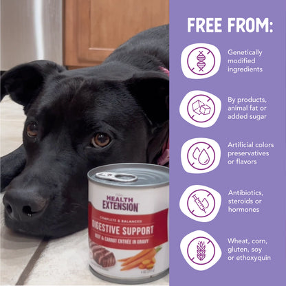 Wet Dog Food Digestive Support Variety Pack
