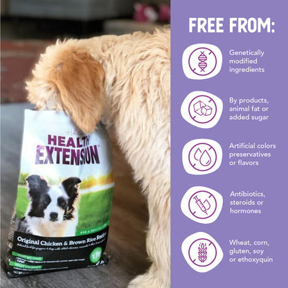 Dry Dog Food Chicken and Brown Rice Recipe