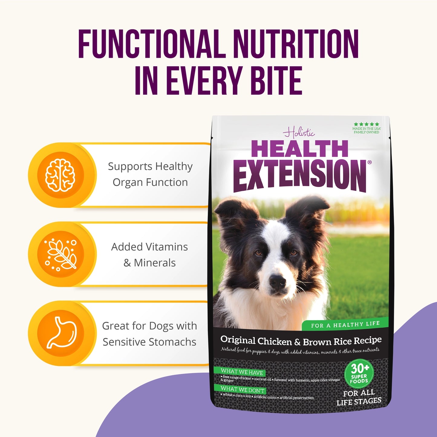 Dry Dog Food Chicken and Brown Rice Recipe